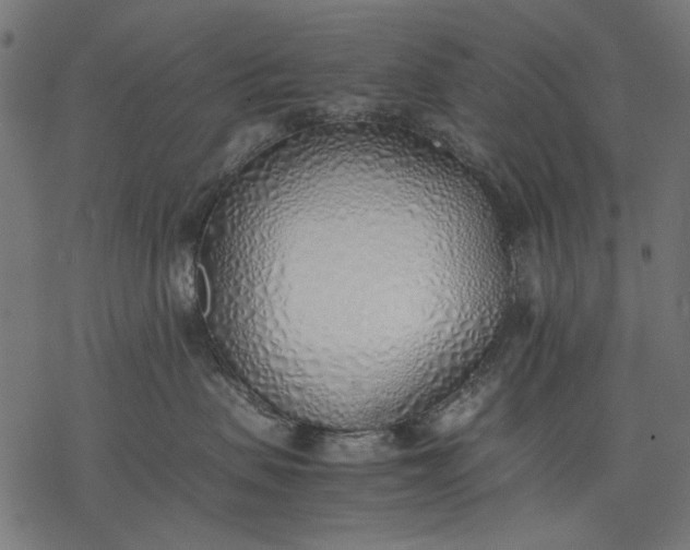 X0000077280479200611031530