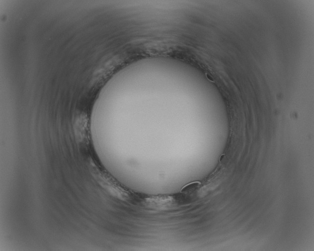 X0000077280480200611031530