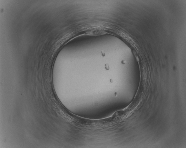 X0000077280481200611031529