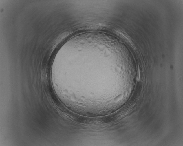 X0000077280483200611031529