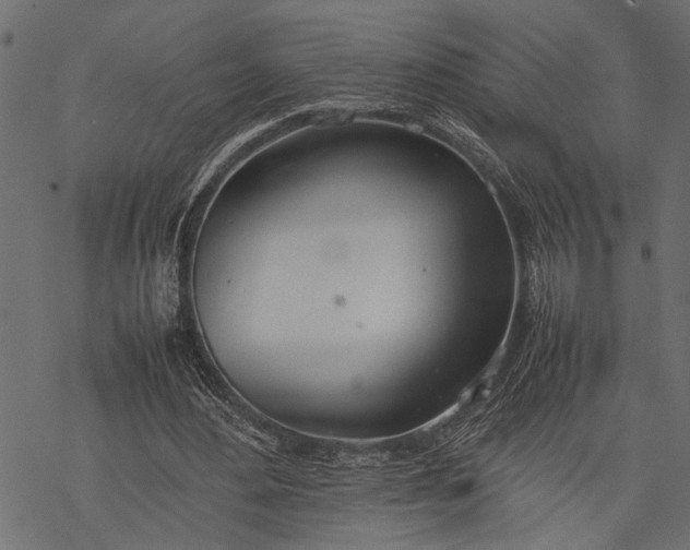 X0000077280484200611031529