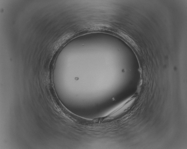 X0000077280485200611031529