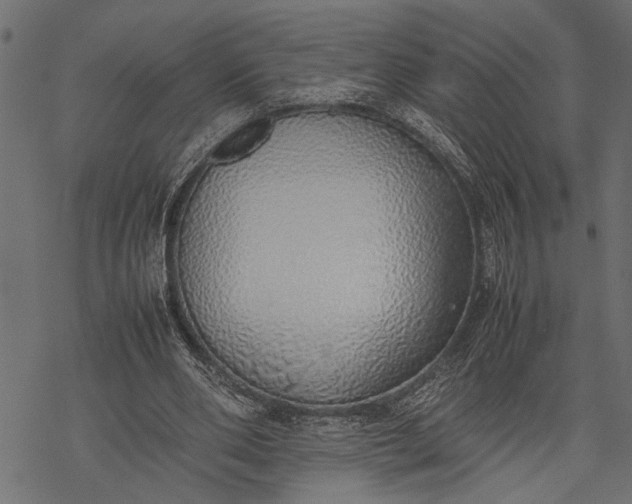 X0000077280486200611031529