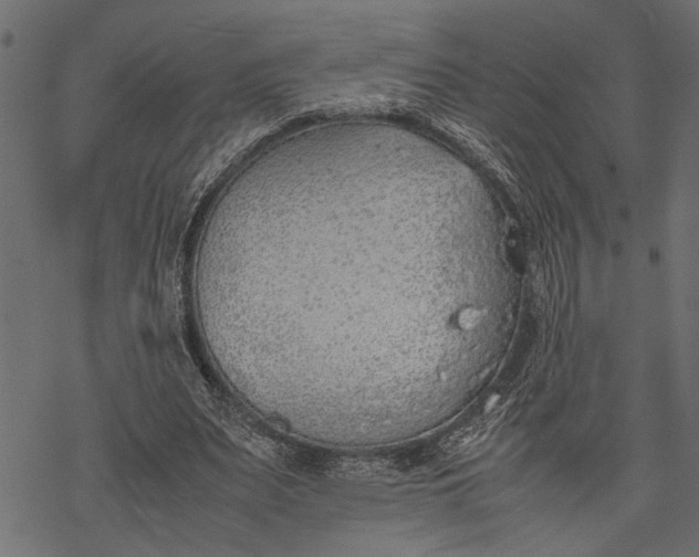 X0000077280487200611031529