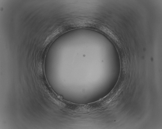 X0000077280489200611031529