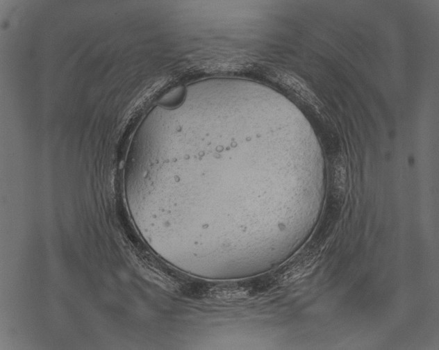 X0000077280491200611031529