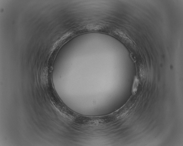 X0000077280492200611031529