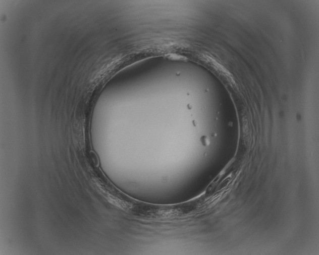 X0000077280493200611031529