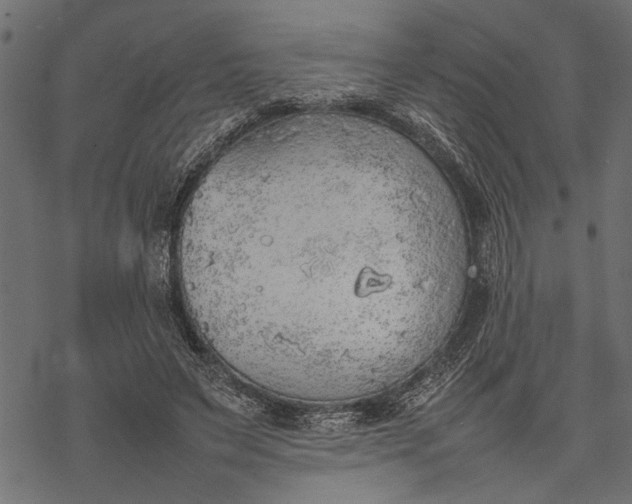 X0000077280495200611031529