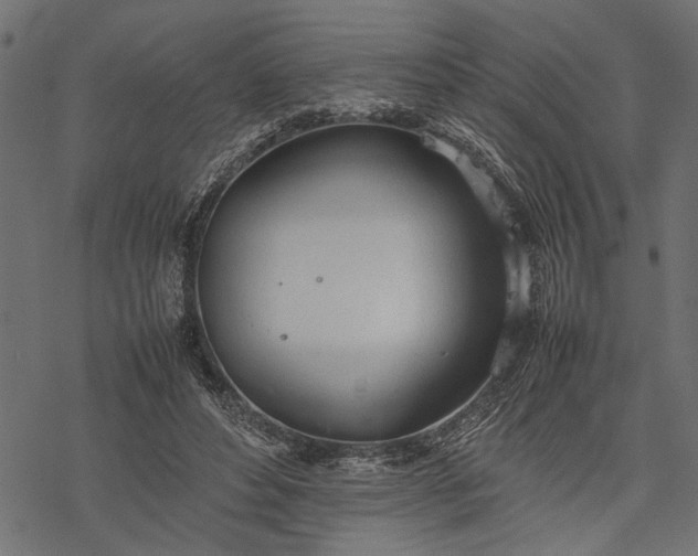 X0000077280496200611031529