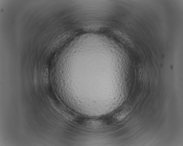 X0000077280498200611031529