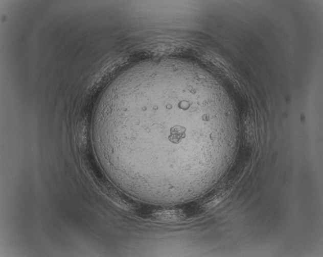 X0000077280499200611031529