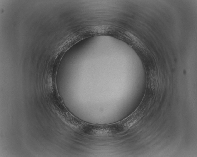 X0000077280500200611031529