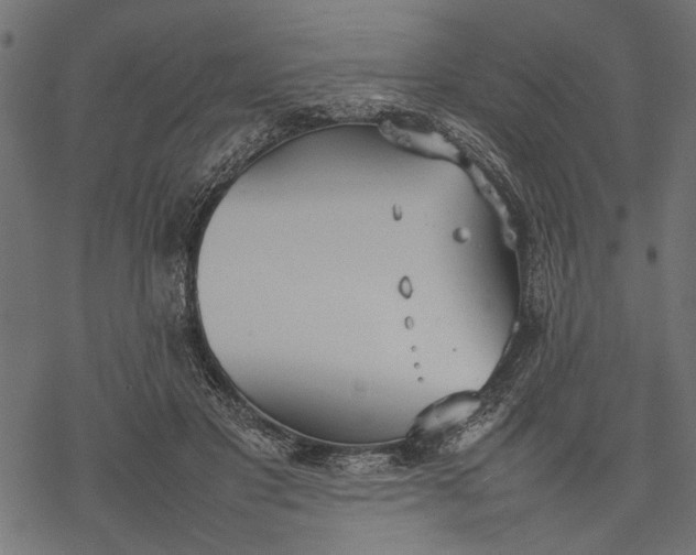 X0000077280501200611031529