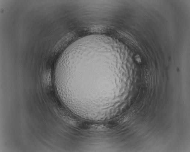 X0000077280502200611031529