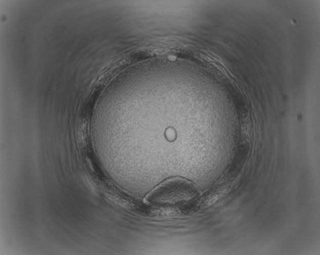 X0000077280503200611031529