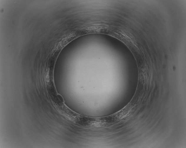 X0000077280504200611031529