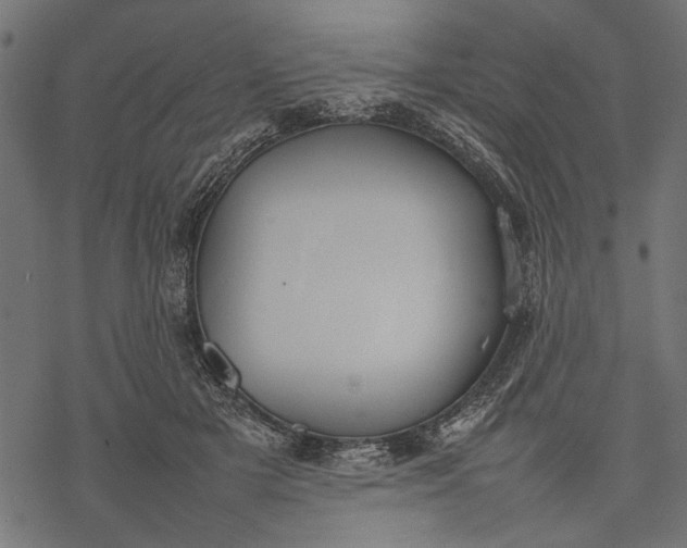 X0000077280505200611031529