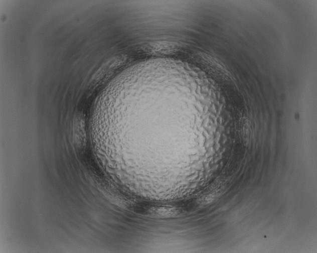 X0000077280506200611031529