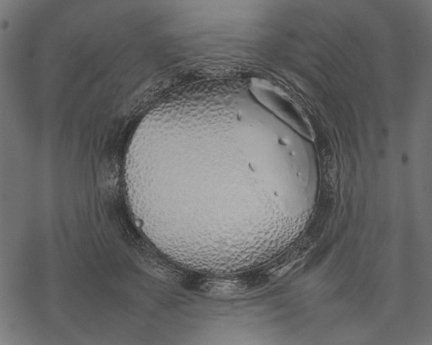 X0000077280507200611031529