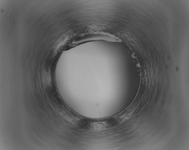 X0000077280508200611031529