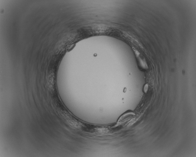 X0000077280509200611031529