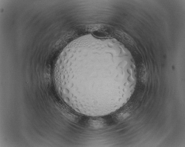 X0000077280510200611031529