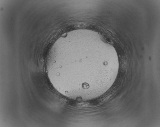 X0000077280511200611031528