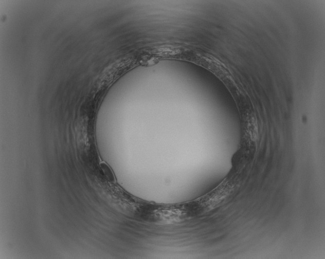 X0000077280512200611031528