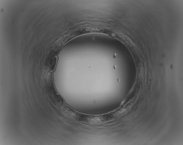 X0000077280513200611031528