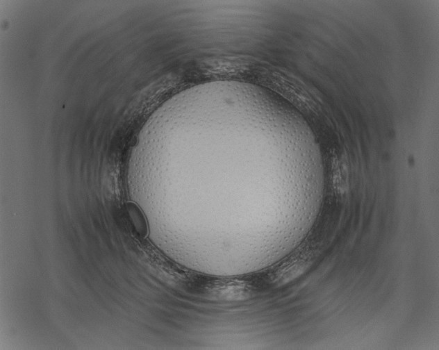 X0000077280514200611031528