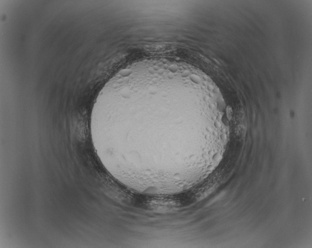 X0000077280515200611031528