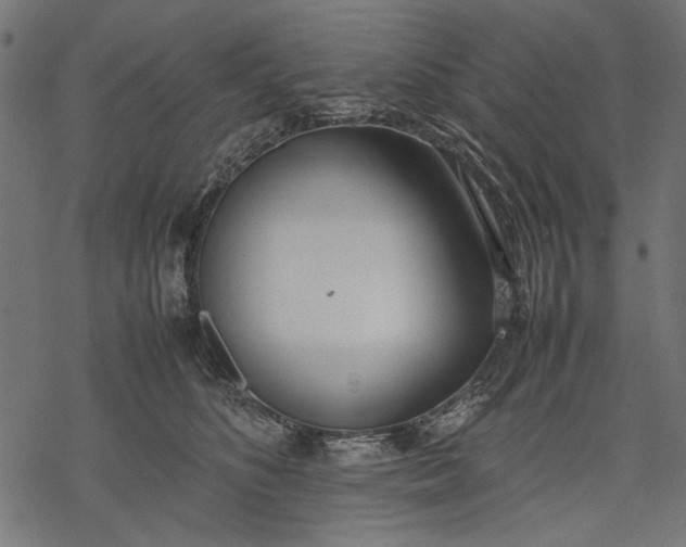 X0000077280516200611031528