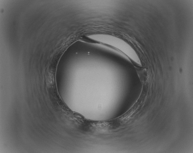 X0000077280517200611031528