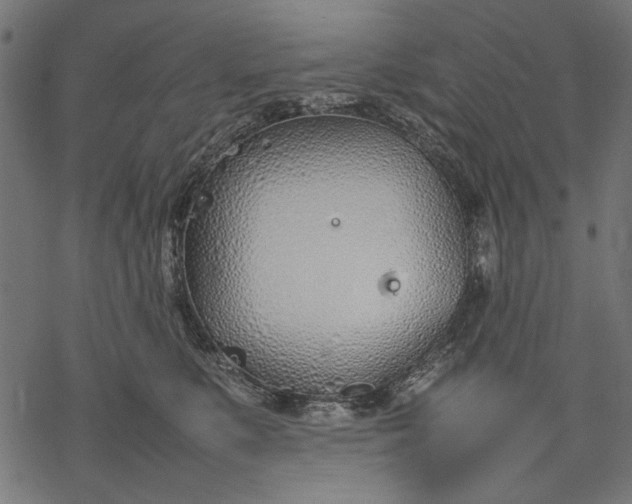 X0000077280519200611031528