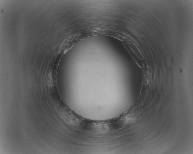 X0000077280520200611031528