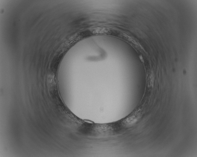 X0000077280521200611031528