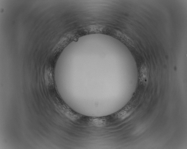 X0000077280522200611031528