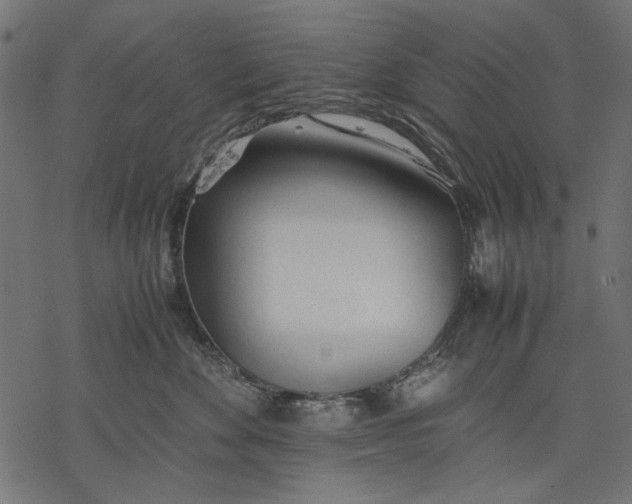 X0000077280524200611031528