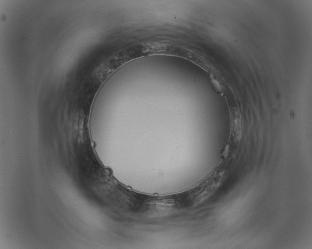 X0000077280525200611031528