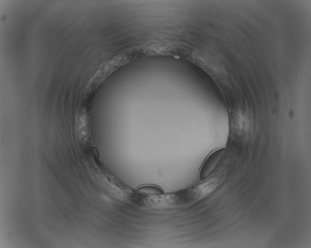 X0000077280526200611031528