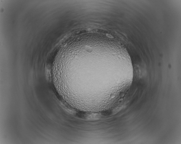 X0000077280527200611031528