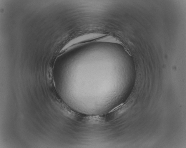 X0000077280528200611031528