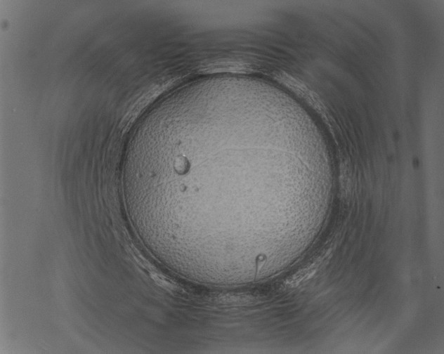 X0000077280529200611031527