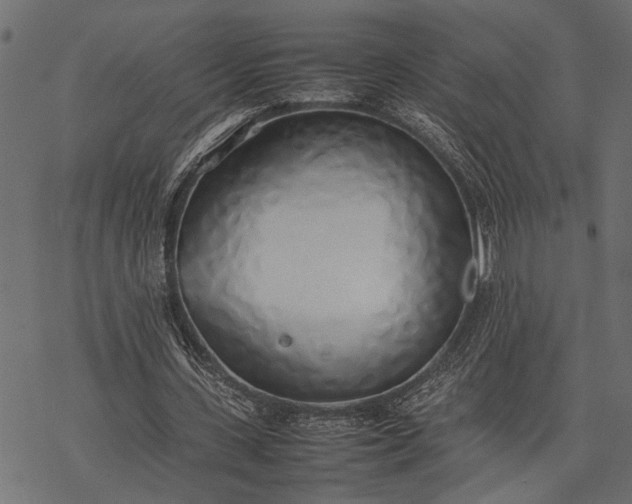 X0000077280531200611031527