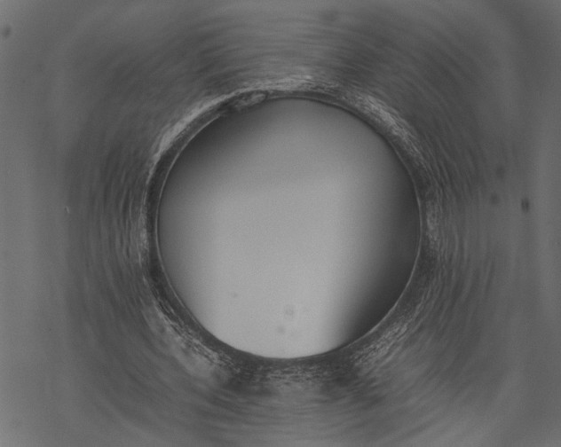 X0000077280532200611031527