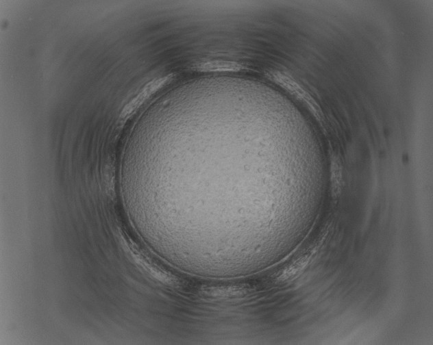 X0000077280533200611031528