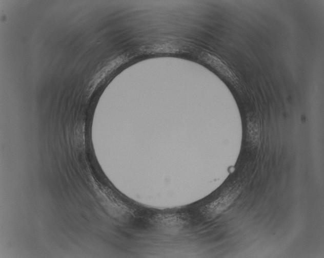 X0000077280534200611031528