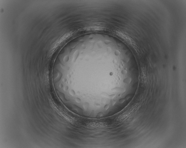 X0000077280535200611031528