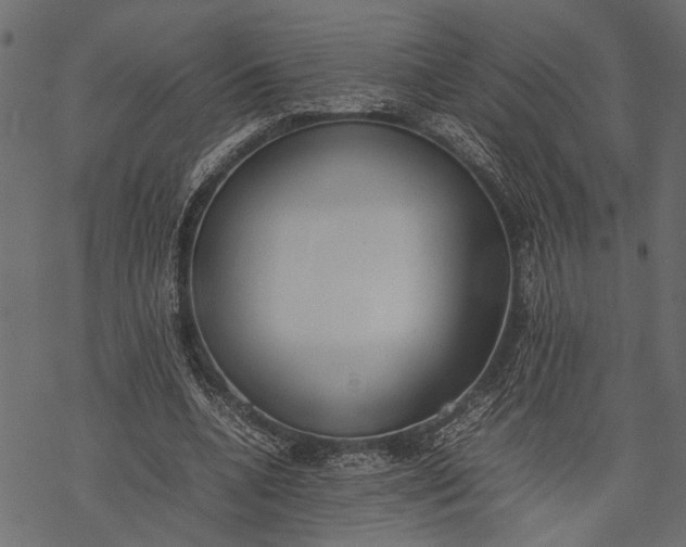 X0000077280536200611031528